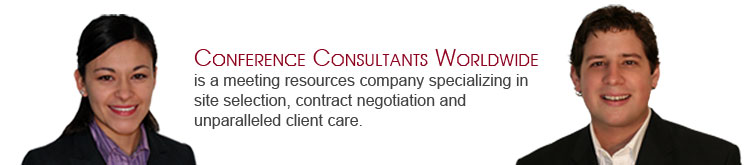 Our Company